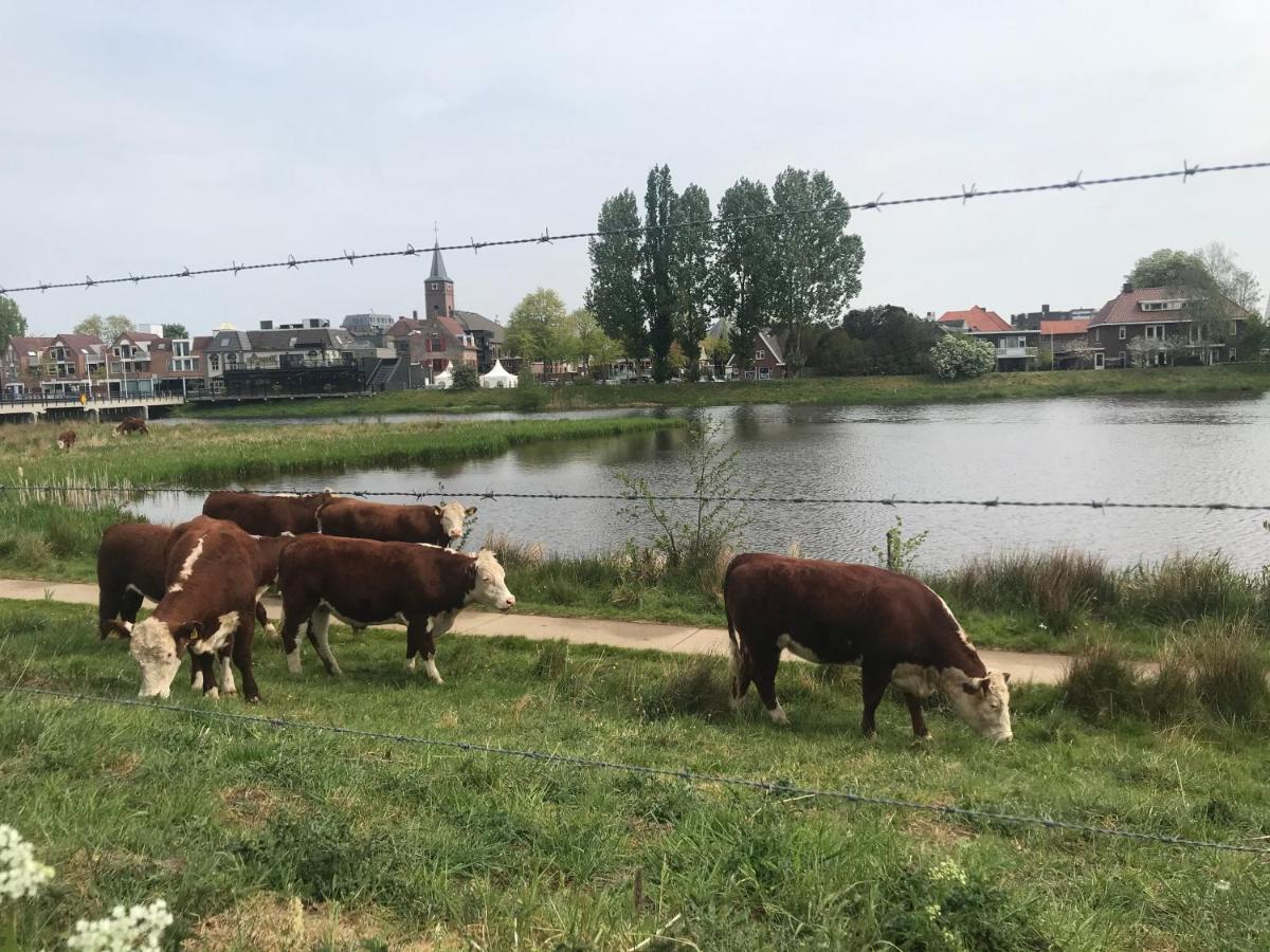 B&B Tussen Vecht En Veer Hardenberg Ngoại thất bức ảnh